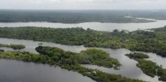general floresta amazônica
