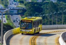 linhas de ônibus