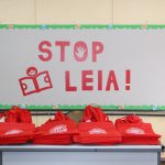 Castelo Forte – Projeto Stop Leia.